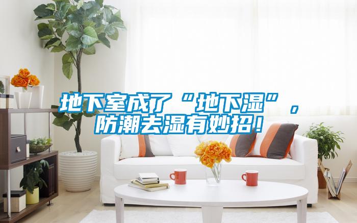 地下室成了“地下濕”，防潮去濕有妙招！