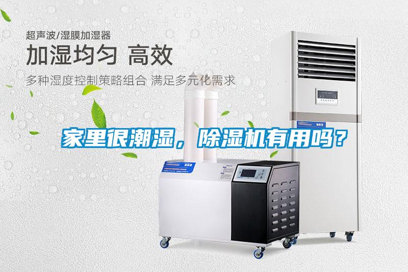 家里很潮濕，除濕機(jī)有用嗎？