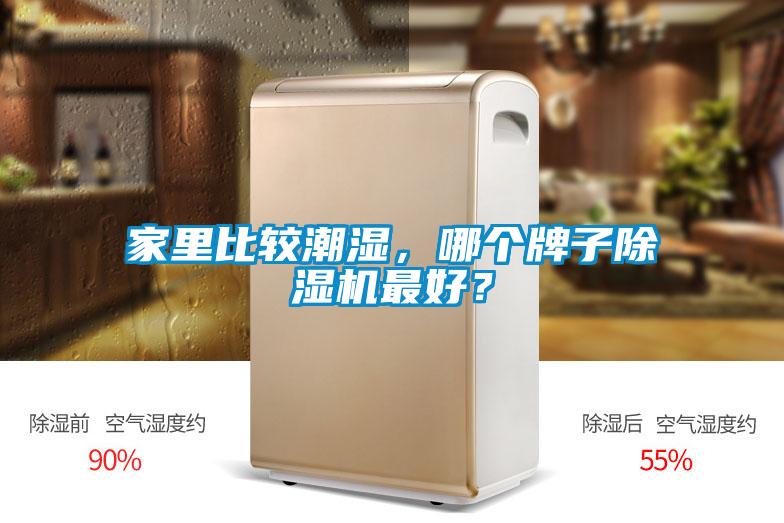 家里比較潮濕，哪個(gè)牌子除濕機(jī)最好？