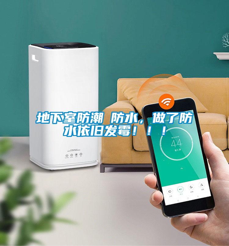 地下室防潮≠防水，做了防水依舊發(fā)霉?。?！