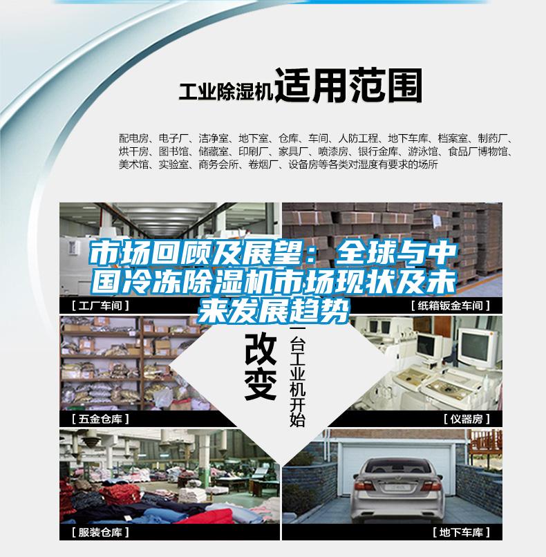 市場(chǎng)回顧及展望:全球與中國(guó)冷凍除濕機(jī)市場(chǎng)現(xiàn)狀及未來(lái)發(fā)展趨勢(shì)
