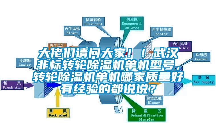 大佬們請問大家??！武漢非標轉(zhuǎn)輪除濕機單機型號，轉(zhuǎn)輪除濕機單機哪家質(zhì)量好有經(jīng)驗的都說說？
