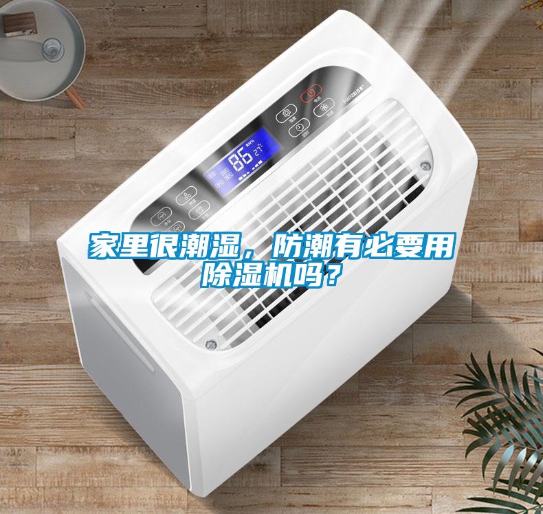 家里很潮濕，防潮有必要用除濕機嗎？