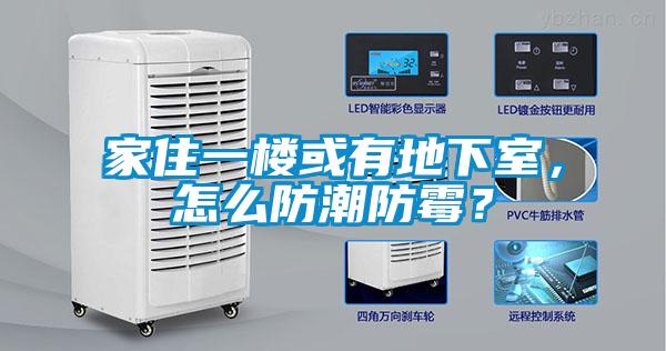 家住一樓或有地下室，怎么防潮防霉？