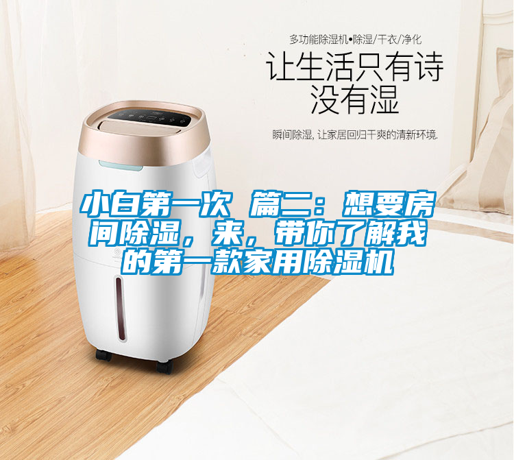 小白第一次 篇二：想要房間除濕，來，帶你了解我的第一款家用除濕機