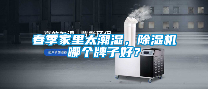 春季家里太潮濕，除濕機(jī)哪個(gè)牌子好？