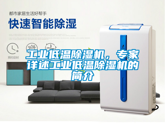 工業(yè)低溫除濕機,專家詳述工業(yè)低溫除濕機的簡介