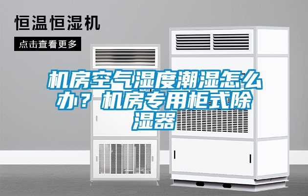 機房空氣濕度潮濕怎么辦？機房專用柜式除濕器