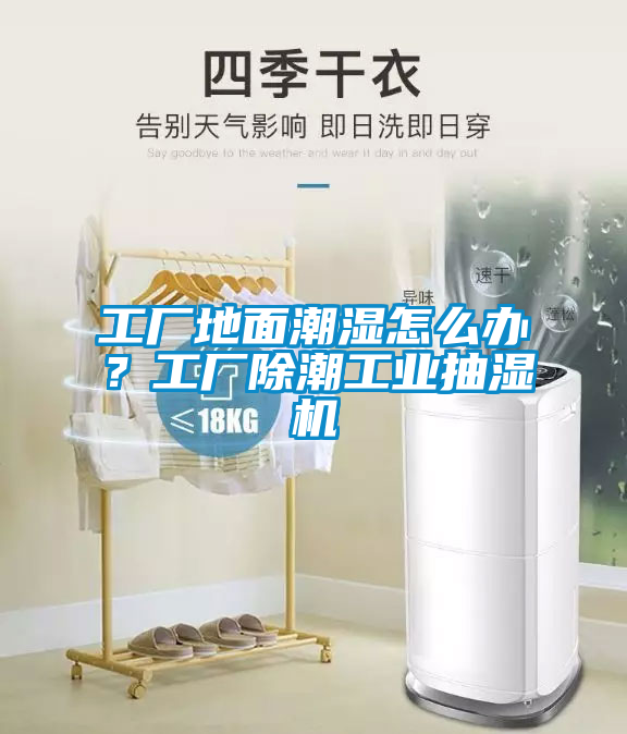 工廠地面潮濕怎么辦？工廠除潮工業(yè)抽濕機(jī)