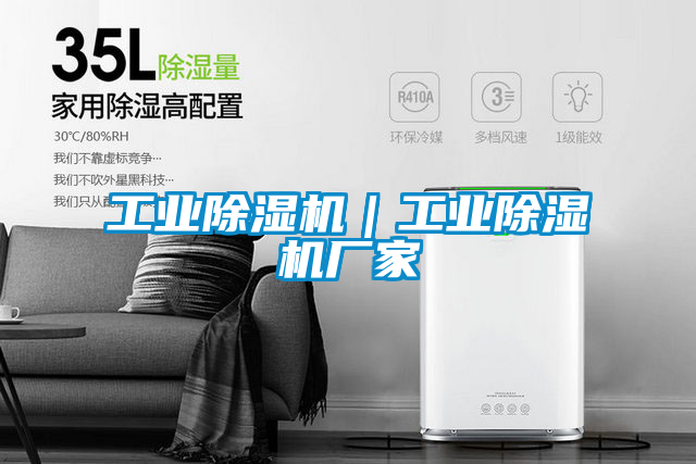 工業(yè)除濕機(jī)|工業(yè)除濕機(jī)廠家