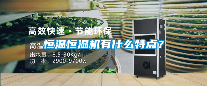 恒溫恒濕機有什么特點？