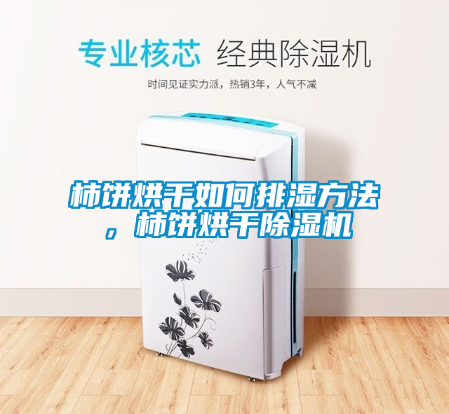 柿餅烘干如何排濕方法，柿餅烘干除濕機(jī)