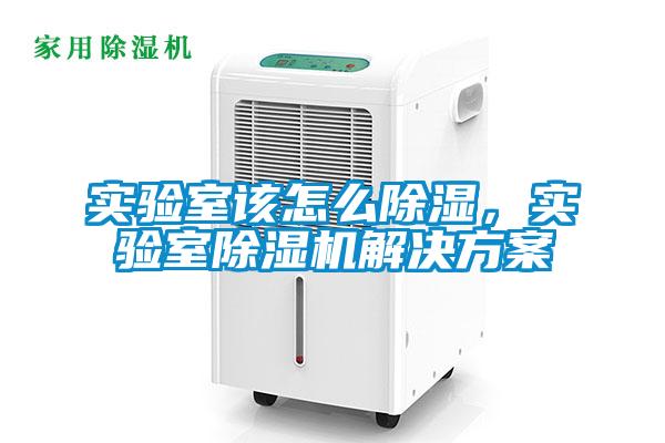 實(shí)驗(yàn)室該怎么除濕，實(shí)驗(yàn)室除濕機(jī)解決方案