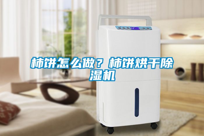 柿餅怎么做？柿餅烘干除濕機(jī)
