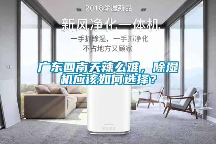廣東回南天辣么難，除濕機應該如何選擇？