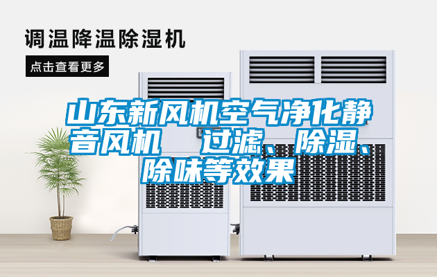山東新風(fēng)機空氣凈化靜音風(fēng)機  過濾、除濕、除味等效果