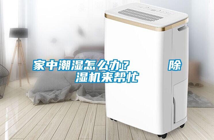 家中潮濕怎么辦？    除濕機來幫忙