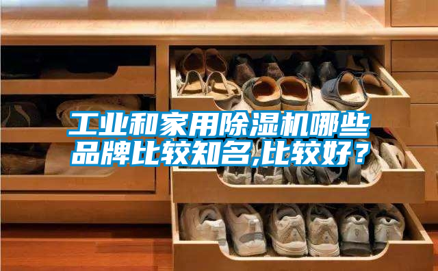 工業(yè)和家用除濕機哪些品牌比較知名,比較好？