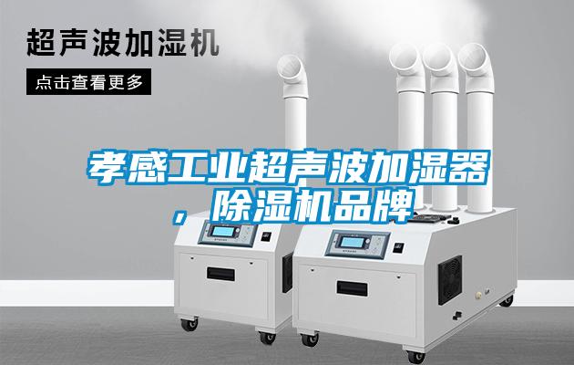 孝感工業(yè)超聲波加濕器，除濕機(jī)品牌