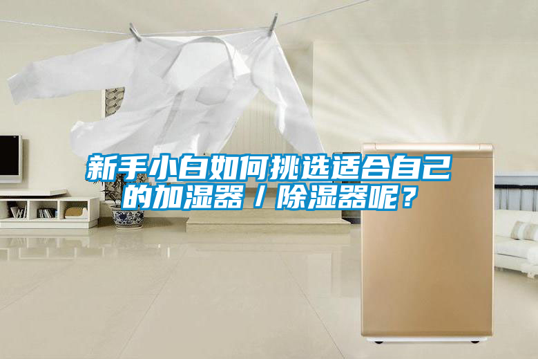 新手小白如何挑選適合自己的加濕器／除濕器呢？