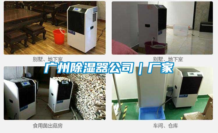 廣州除濕器公司|廠(chǎng)家