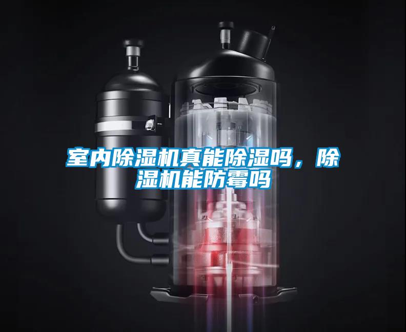 室內(nèi)除濕機真能除濕嗎，除濕機能防霉嗎