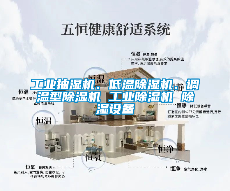 工業(yè)抽濕機、低溫除濕機、調溫型除濕機 工業(yè)除濕機 除濕設備