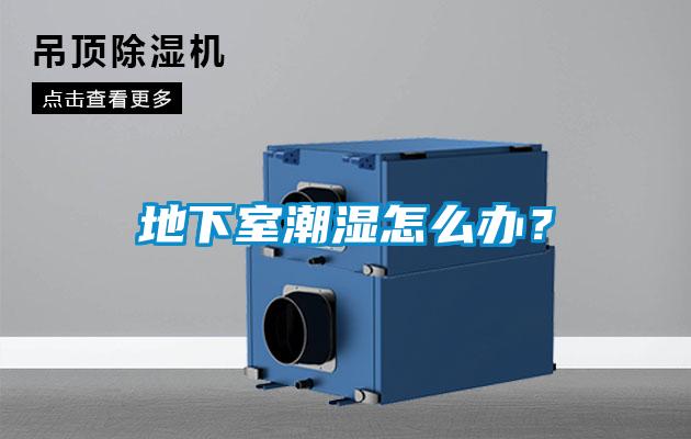 地下室潮濕怎么辦？
