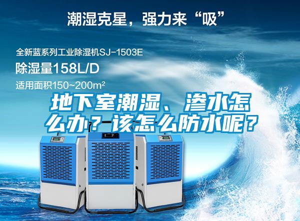 地下室潮濕、滲水怎么辦？該怎么防水呢？