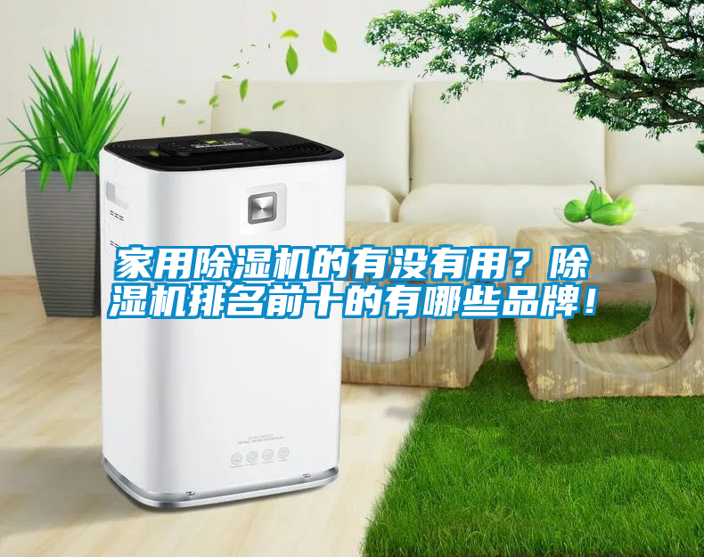 家用除濕機的有沒有用？除濕機排名前十的有哪些品牌！