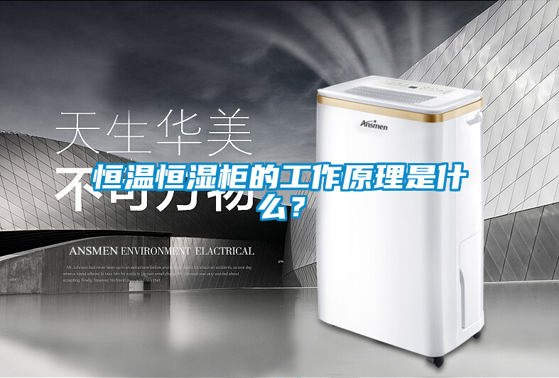 恒溫恒濕柜的工作原理是什么？