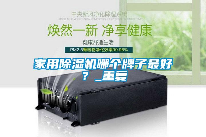 家用除濕機(jī)哪個牌子最好？_重復(fù)