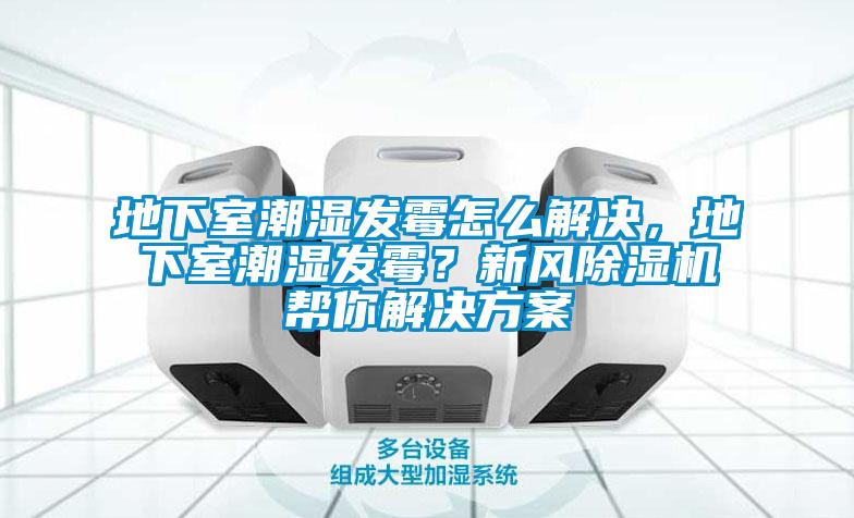 地下室潮濕發(fā)霉怎么解決，地下室潮濕發(fā)霉？新風(fēng)除濕機(jī)幫你解決方案
