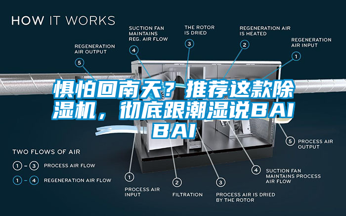 懼怕回南天？推薦這款除濕機，徹底跟潮濕說BAIBAI