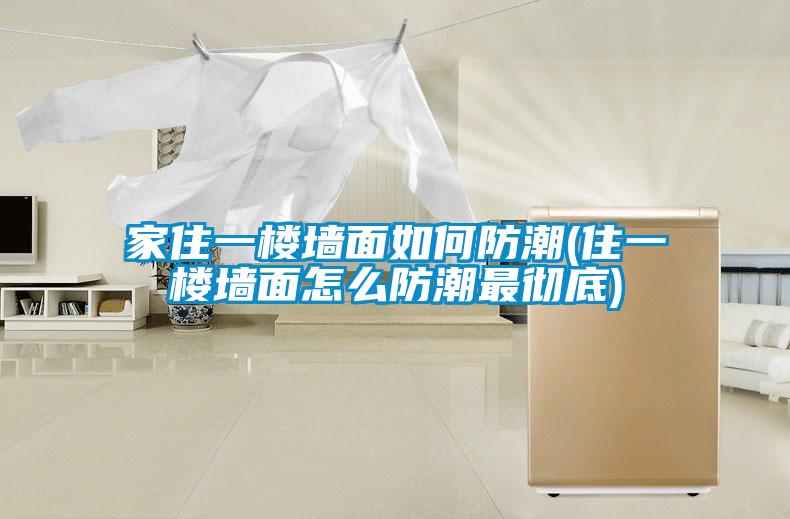 家住一樓墻面如何防潮(住一樓墻面怎么防潮最徹底)