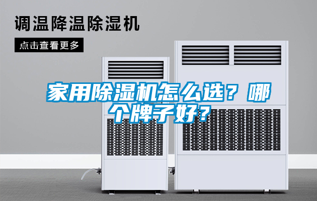 家用除濕機(jī)怎么選？哪個(gè)牌子好？