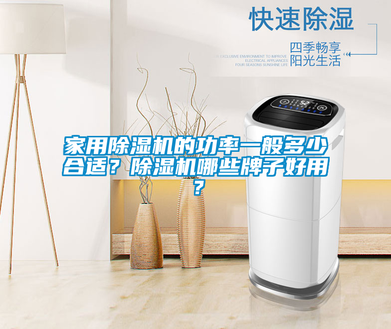 家用除濕機(jī)的功率一般多少合適？除濕機(jī)哪些牌子好用？