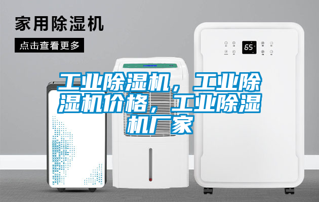 工業(yè)除濕機(jī)，工業(yè)除濕機(jī)價格，工業(yè)除濕機(jī)廠家