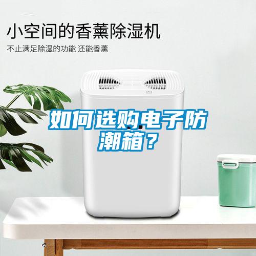 如何選購電子防潮箱？