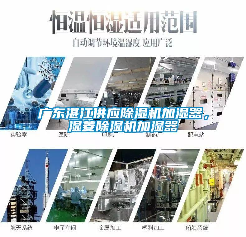 廣東湛江供應除濕機加濕器，濕菱除濕機加濕器