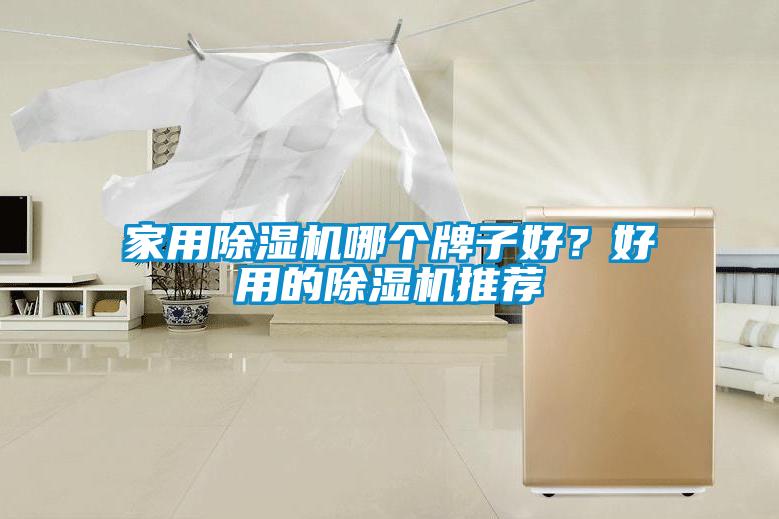 家用除濕機哪個牌子好？好用的除濕機推薦