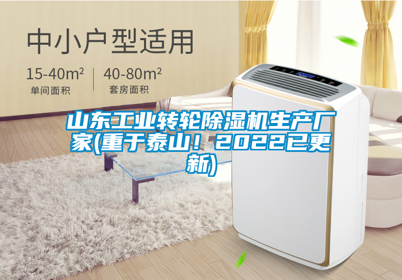 山東工業(yè)轉(zhuǎn)輪除濕機(jī)生產(chǎn)廠家(重于泰山！2022已更新)