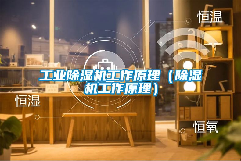 工業(yè)除濕機(jī)工作原理(除濕機(jī)工作原理)