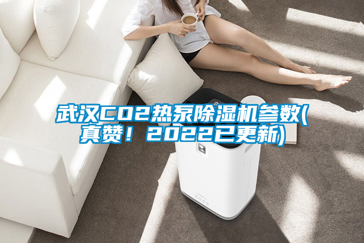 武漢CO2熱泵除濕機(jī)參數(shù)(真贊!2022已更新)