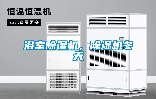 浴室除濕機(jī),除濕機(jī)冬天