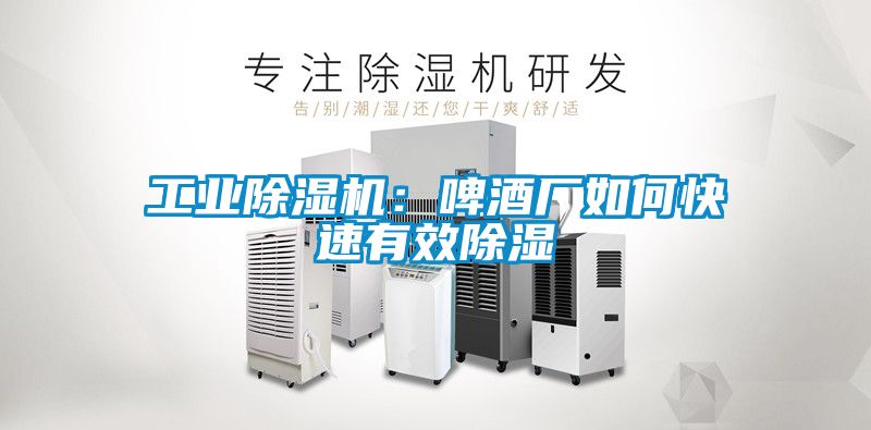 工業(yè)除濕機:啤酒廠如何快速有效除濕