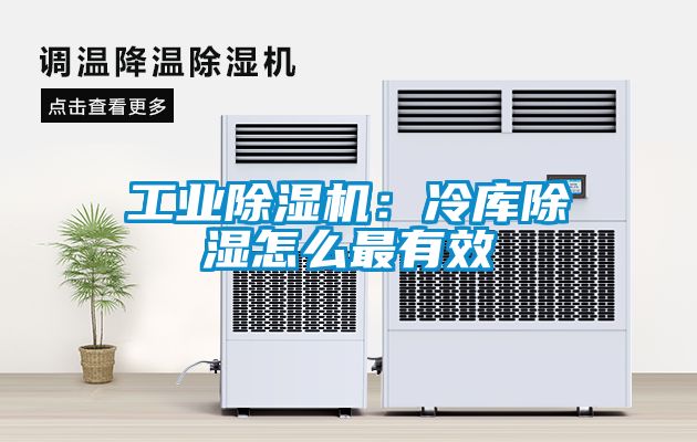工業(yè)除濕機:冷庫除濕怎么最有效
