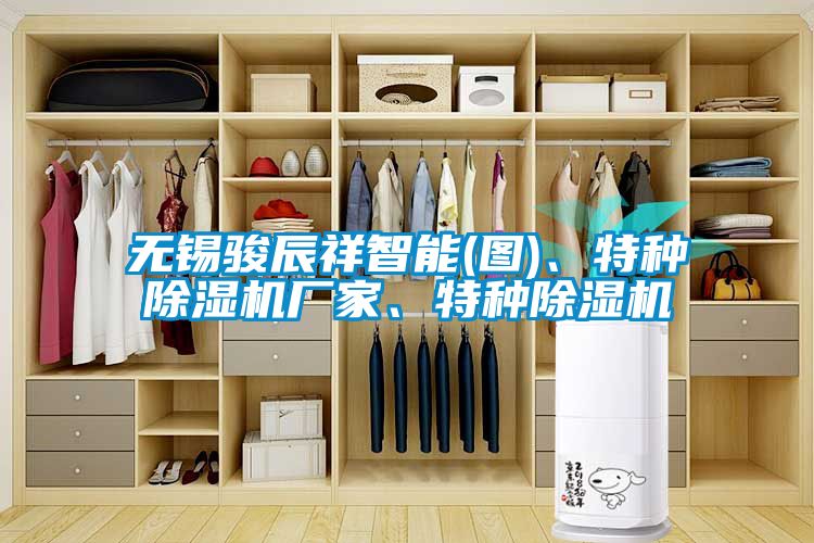無(wú)錫駿辰祥智能(圖)、特種除濕機(jī)廠家、特種除濕機(jī)