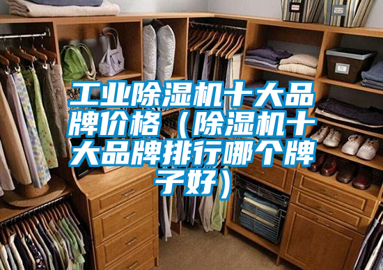 工業(yè)除濕機十大品牌價格(除濕機十大品牌排行哪個牌子好)