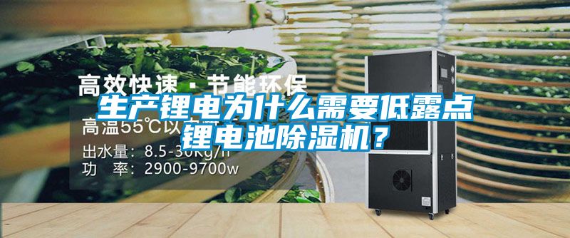 生產(chǎn)鋰電為什么需要低露點(diǎn)鋰電池除濕機(jī)？